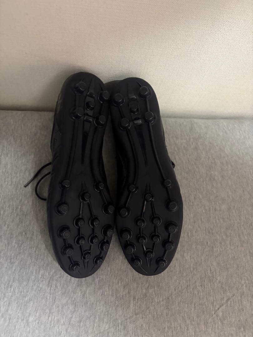 モレリア PROTO JAPAN Ltd AG