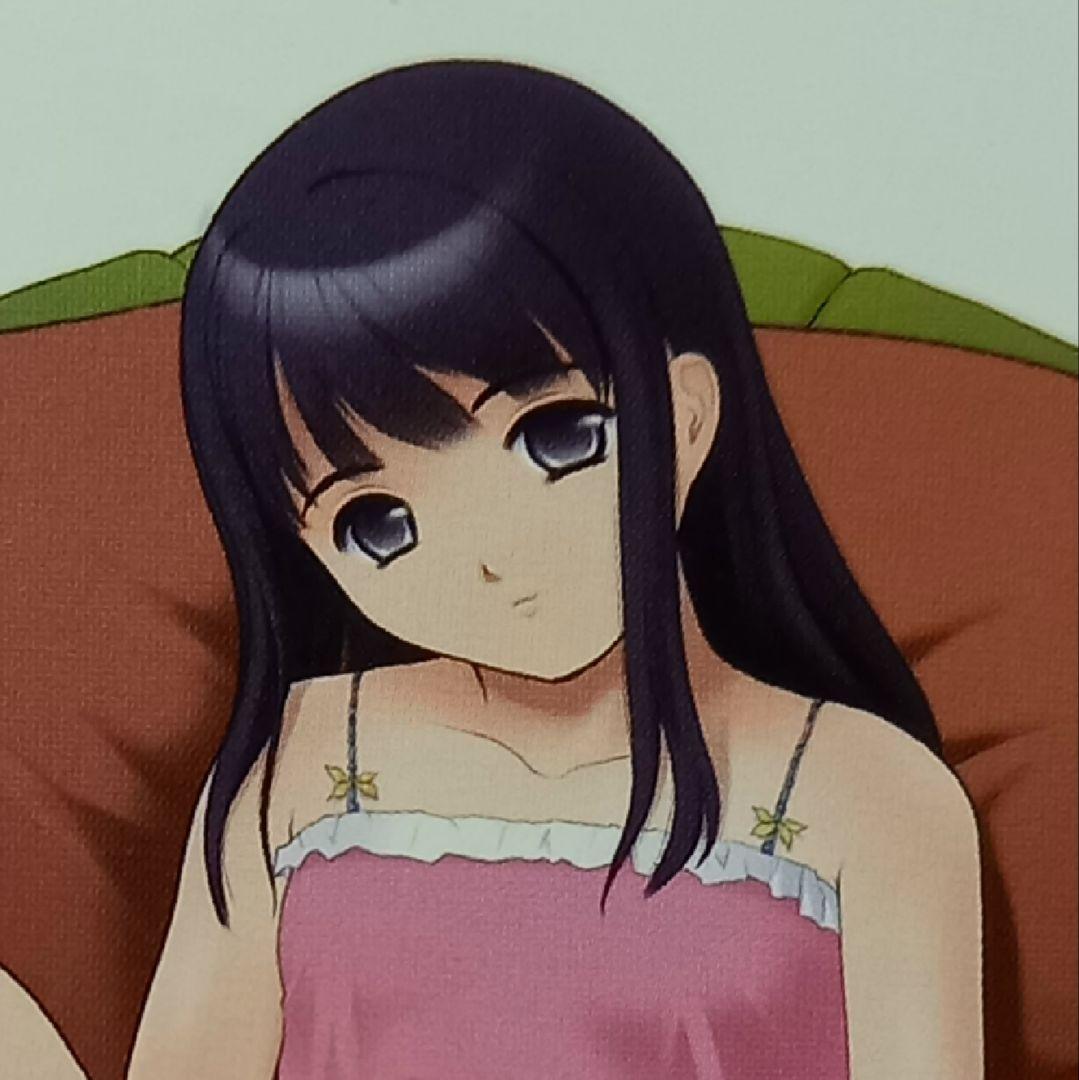 「陽射しの中のリアル」完全版　マニュアルのみ