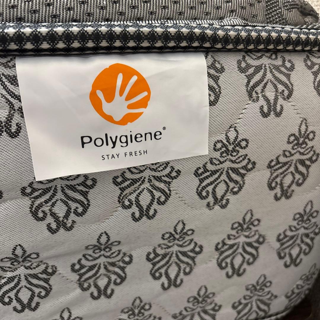 その他 Sealy IP Titanium Collection Lagrasse