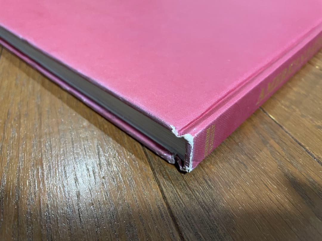 アート・デザイン・音楽 American Racer / Stephen Wright