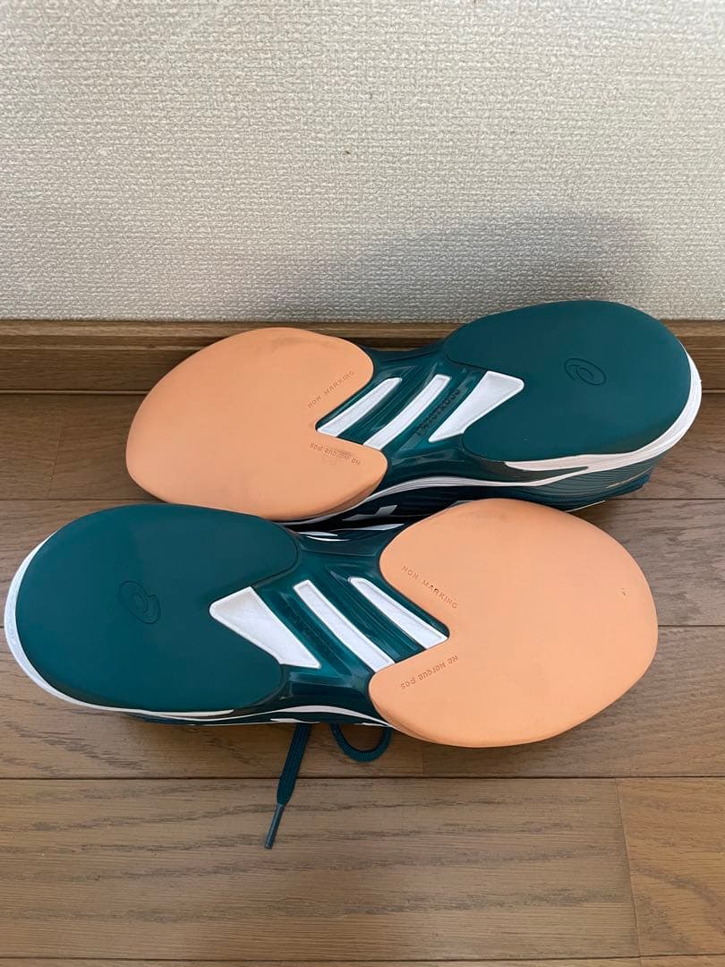 アシックス テニスシューズ カーペットコート ソリューションスピード　28cm