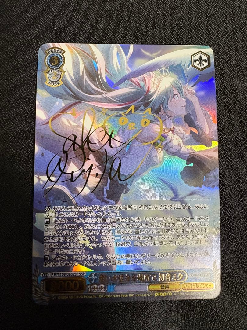 想いが重なる場所で　初音ミク　SSP