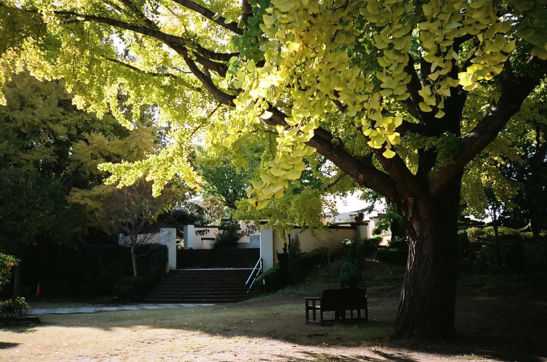 美品 KONICA C35 flashmatic 738957【整備・試写済】