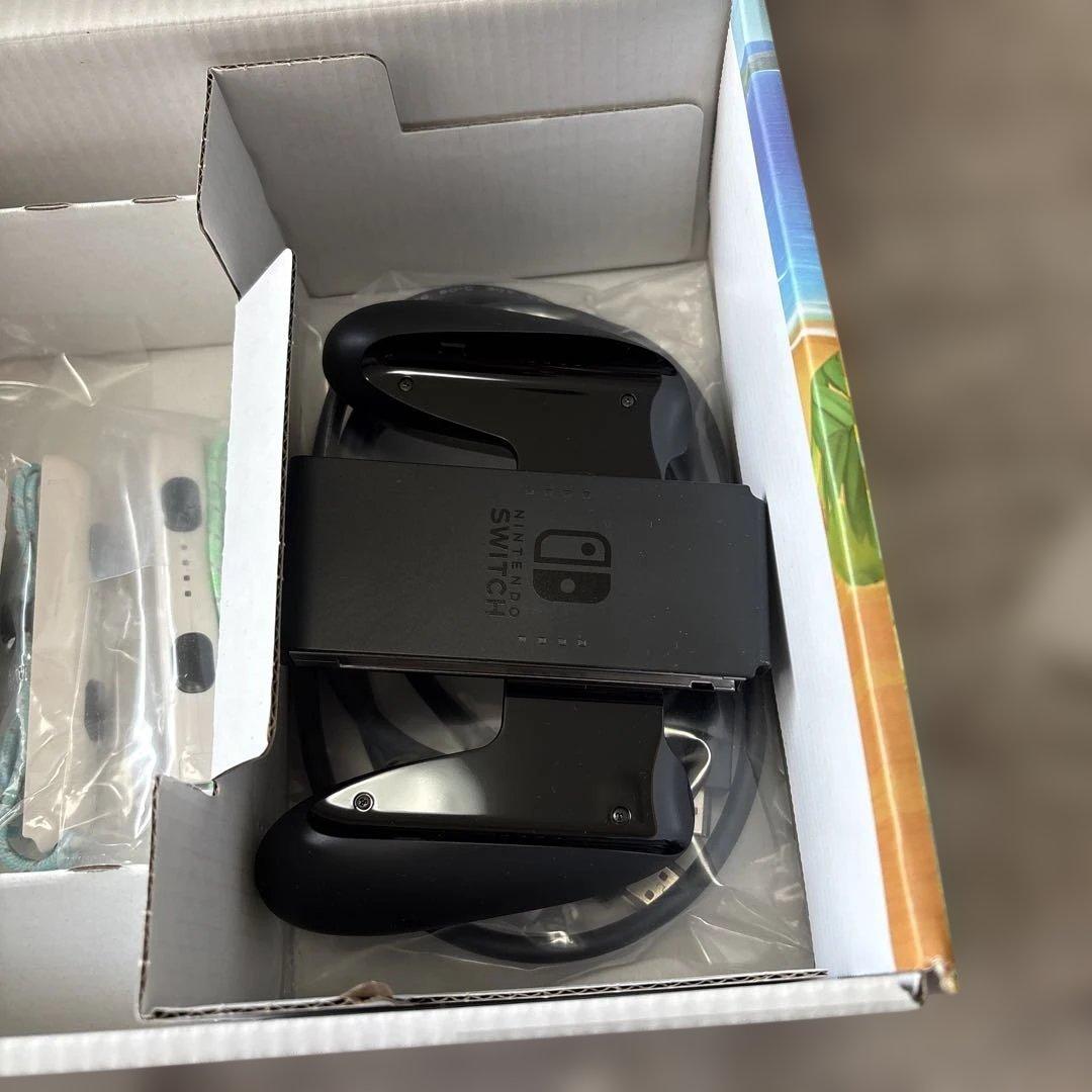 Nintendo Switch どうぶつの森セット 完品 本体ケース付き