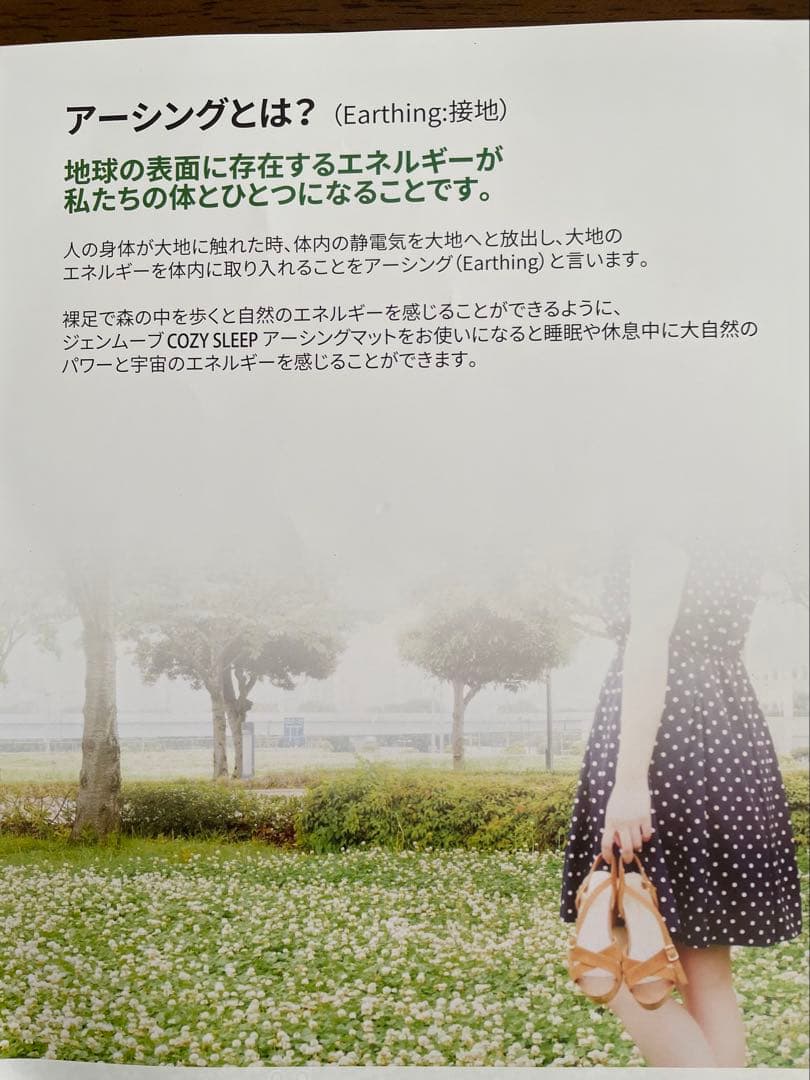 【seiriu】ジェンマジャパン アーシングマット 温熱機能付き　シングル