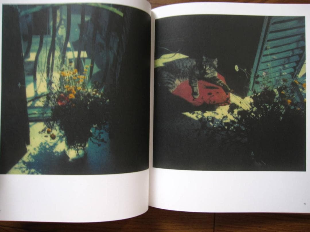 Bright, Bright Day　Andrey A. Tarkovsky