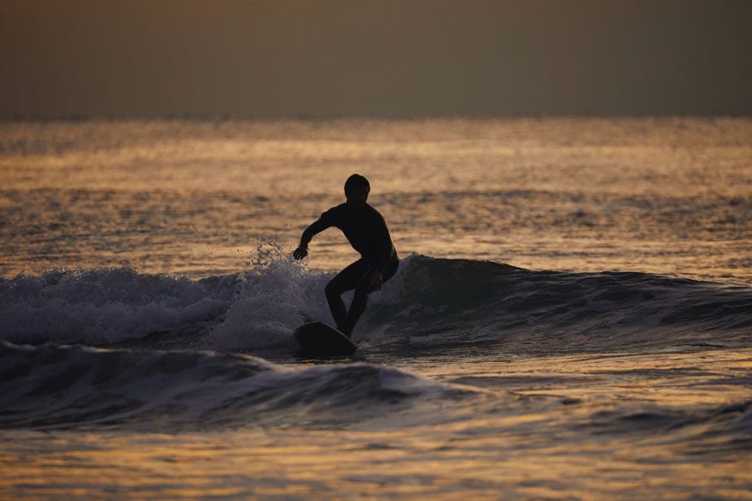 TAMRON タムロン 150-600mm F5-6.3ズームレンズ