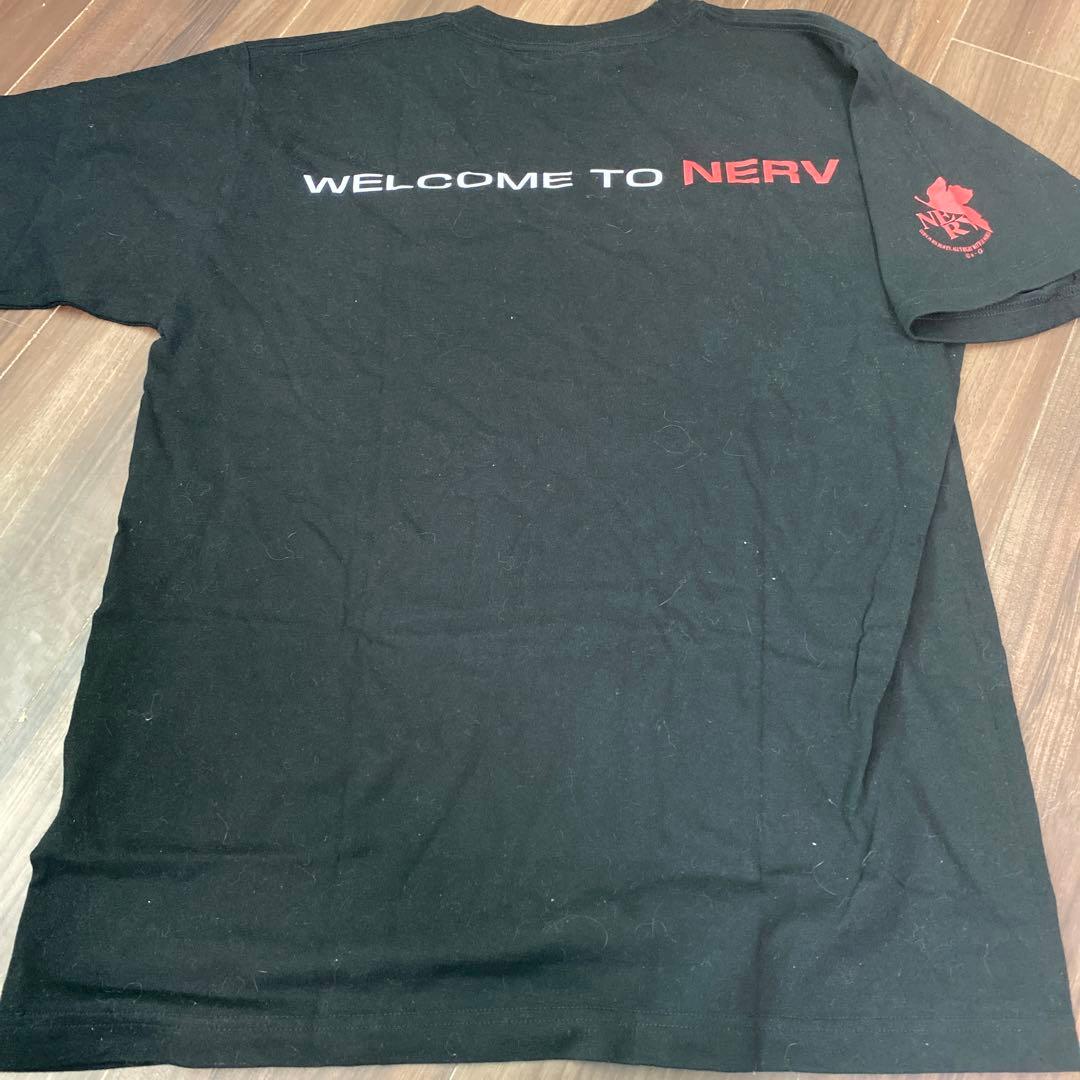 ヱヴァンゲリヲン序　DVD 綾波レイフィルム付き