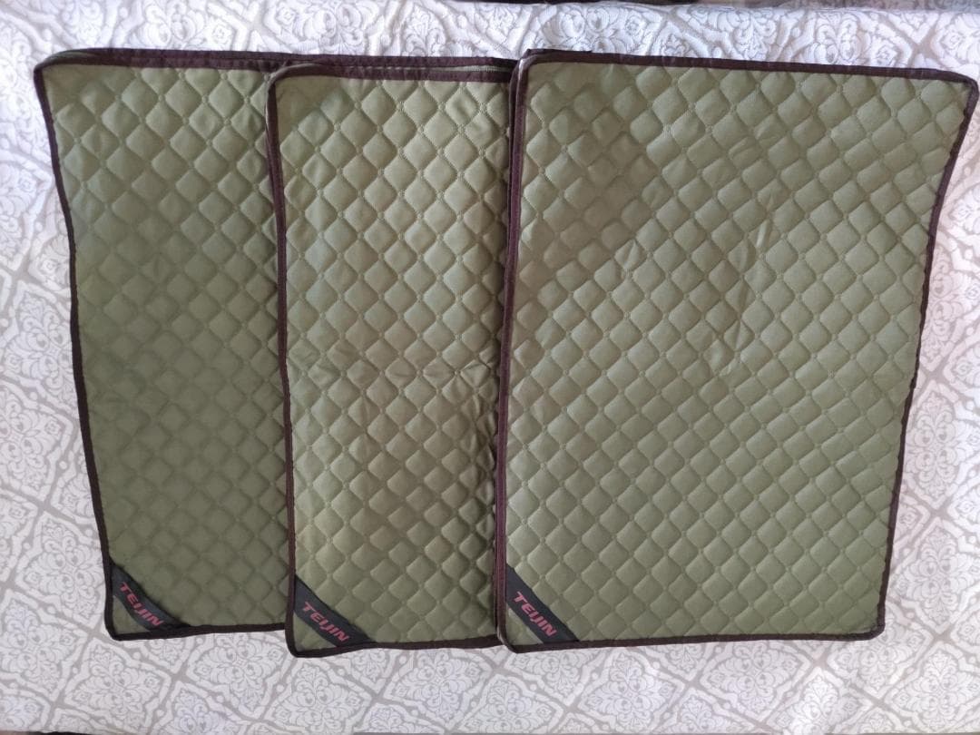 値下【 テイジン 公式】 乾っとデオケース 大サイズ　3枚　モスグリーン