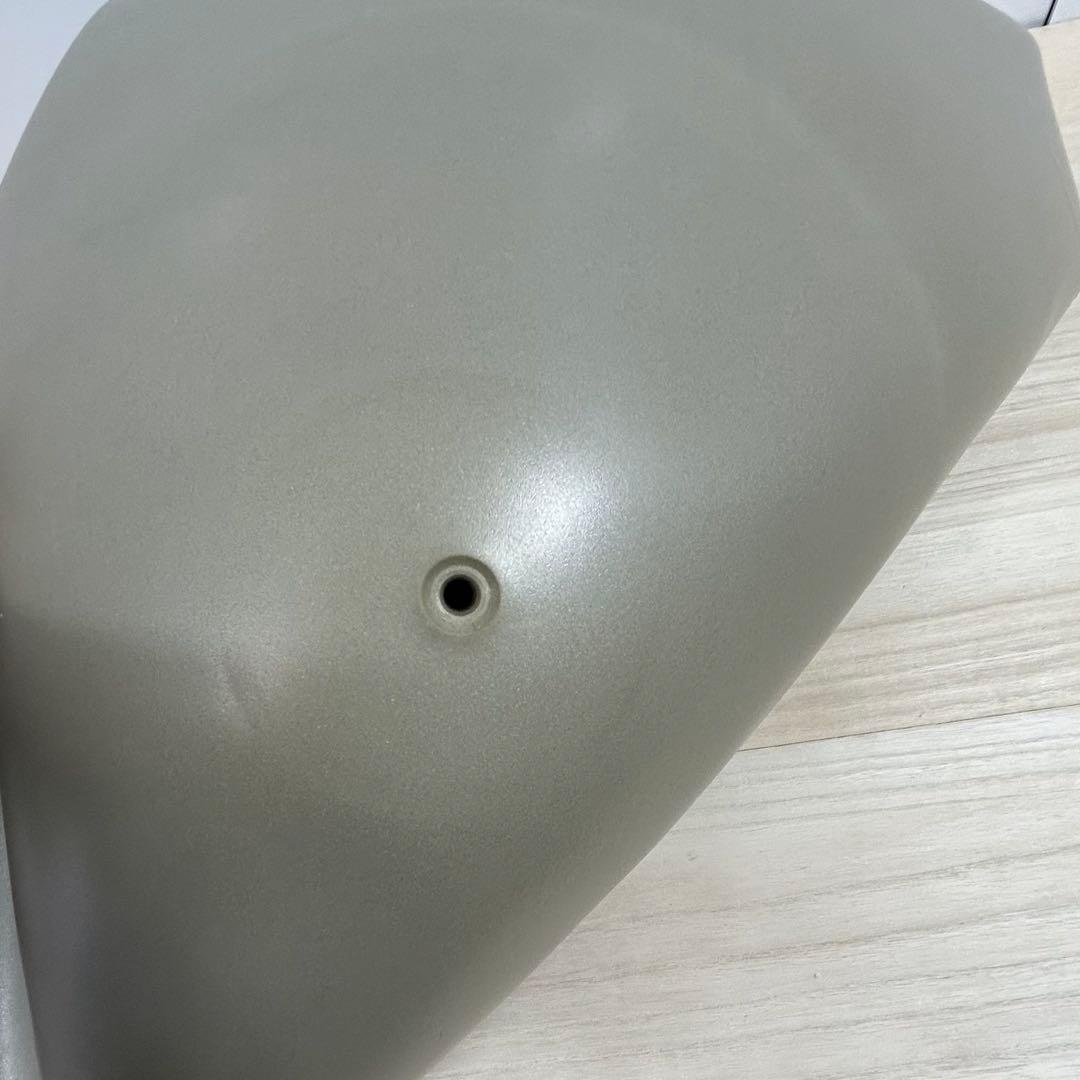 カバーとボールのみ　テクノジム　Technogym　バランスボール　カバーあり