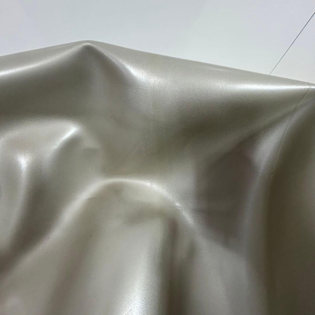 カバーとボールのみ　テクノジム　Technogym　バランスボール　カバーあり