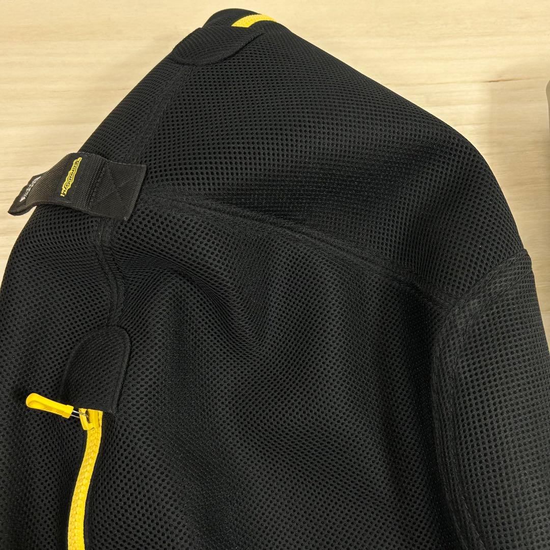 カバーとボールのみ　テクノジム　Technogym　バランスボール　カバーあり