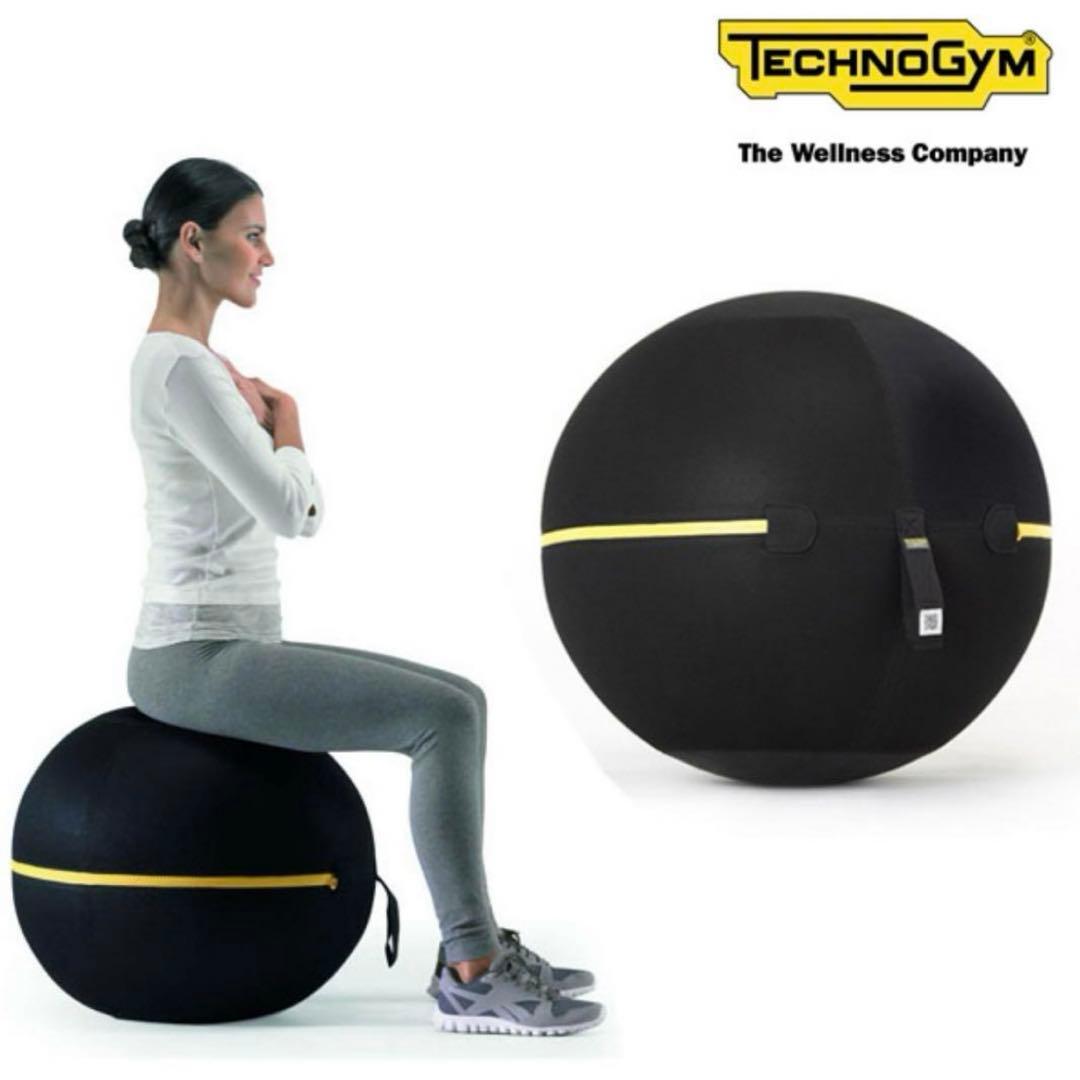 カバーとボールのみ　テクノジム　Technogym　バランスボール　カバーあり