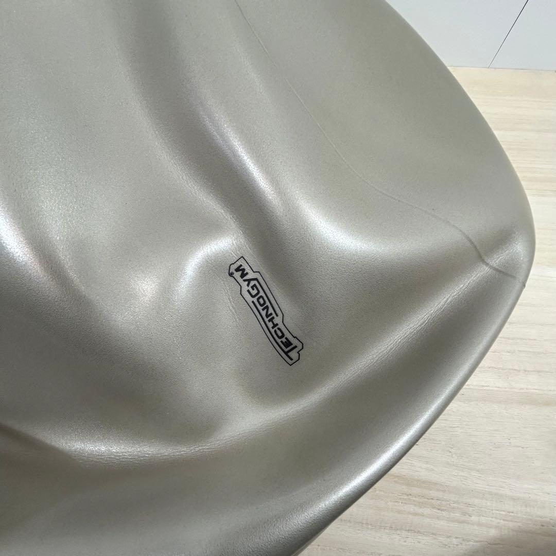 カバーとボールのみ　テクノジム　Technogym　バランスボール　カバーあり