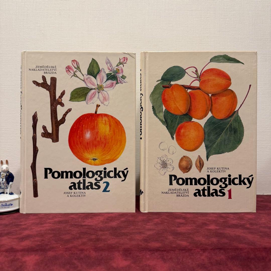 14⑧チェコ果物図鑑2冊セット　植物図鑑　ジャンクジャーナル　洋書　ボタンニカル
