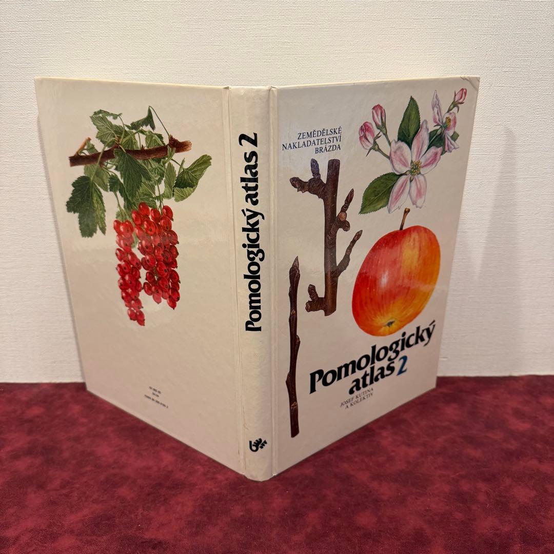 14⑧チェコ果物図鑑2冊セット　植物図鑑　ジャンクジャーナル　洋書　ボタンニカル