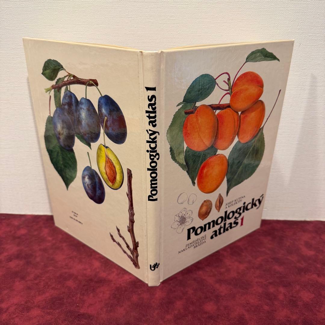14⑧チェコ果物図鑑2冊セット　植物図鑑　ジャンクジャーナル　洋書　ボタンニカル