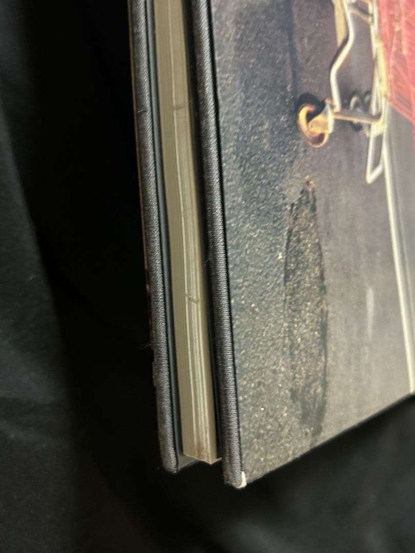 アート・デザイン・音楽 Stranger Passing / Joel Sternfeld