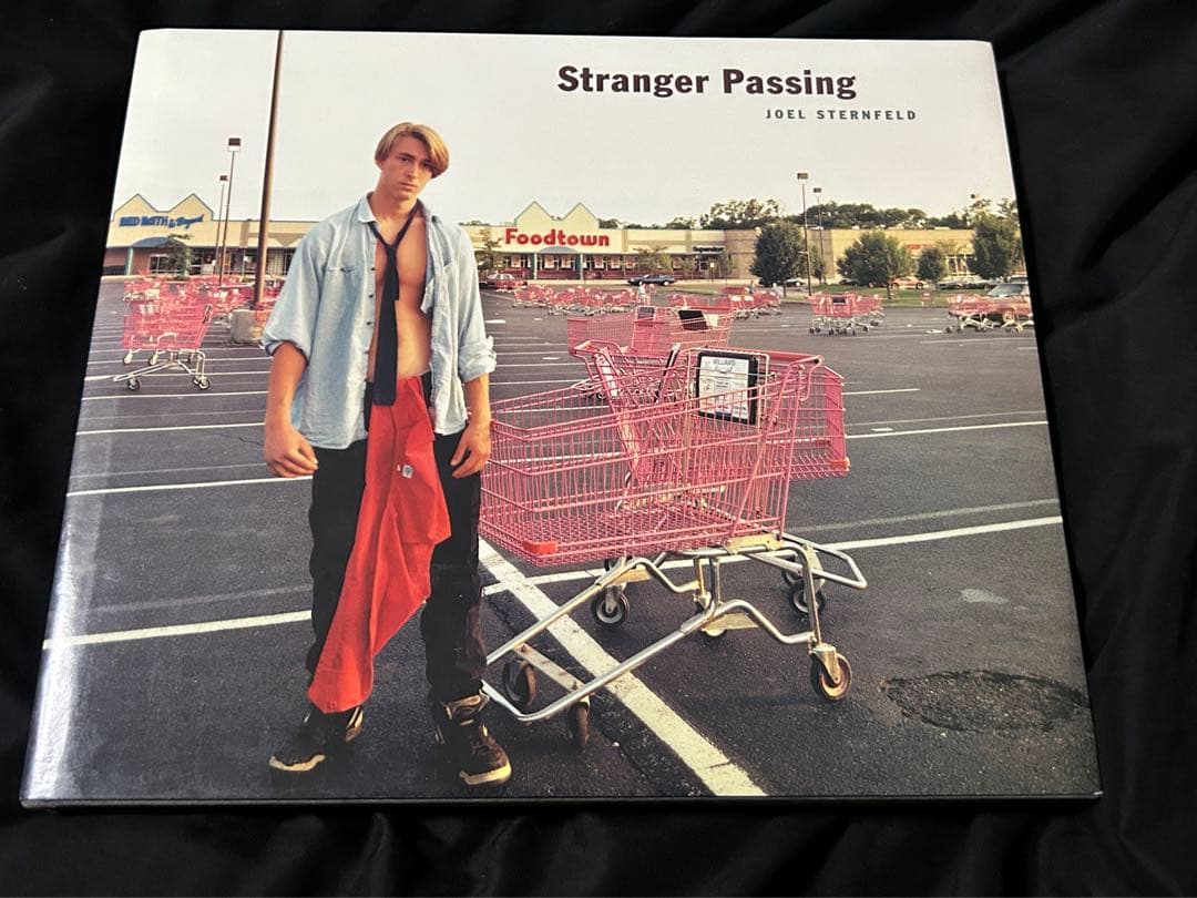 アート・デザイン・音楽 Stranger Passing / Joel Sternfeld