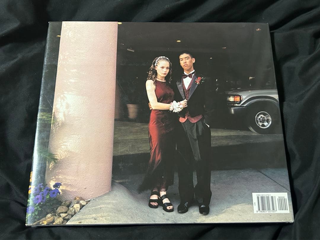 アート・デザイン・音楽 Stranger Passing / Joel Sternfeld