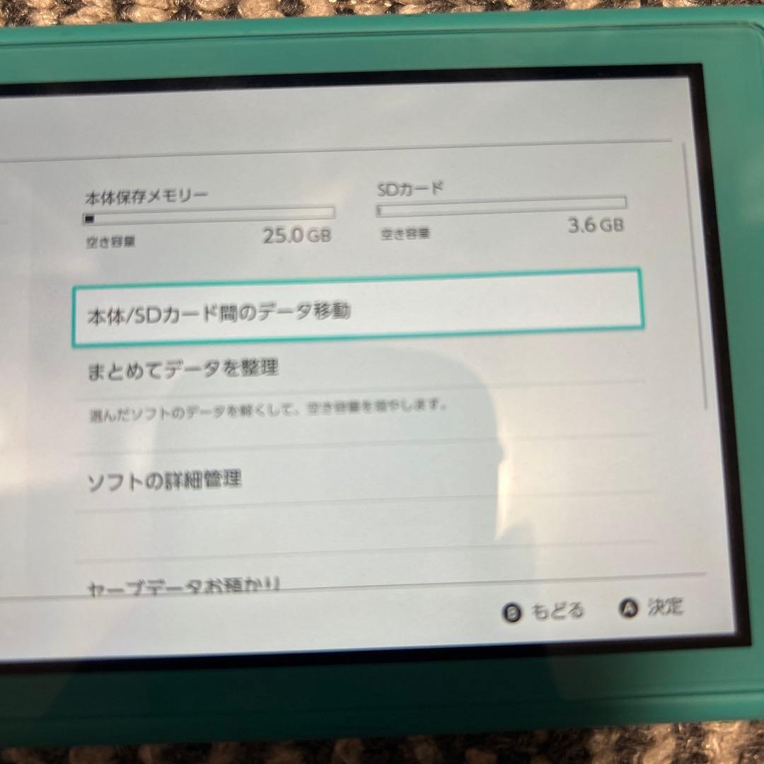 Nintendo Switch Lite SDカード[4GB]付き