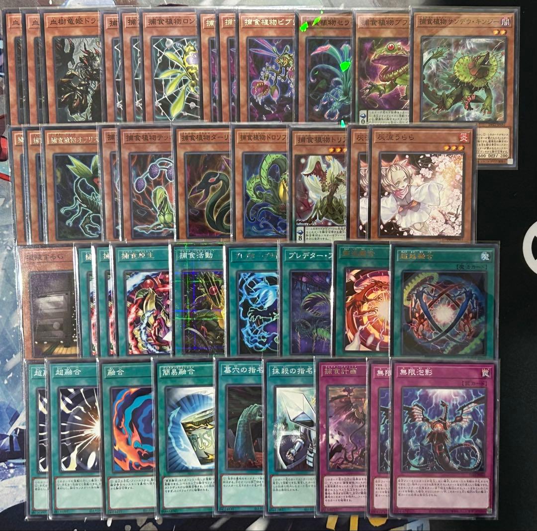 遊戯王　捕食植物デッキ　プレデタープランツ　新弾構築　即購入可　超逸融合