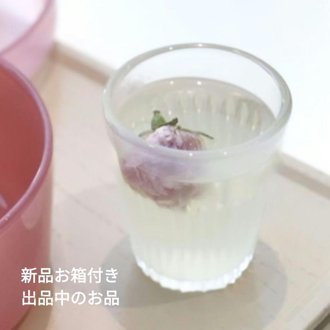 新品 二階堂明弘 土鍋 大1個 壺田亜矢伊藤聡信石原稔久境知子内田可織十場あすか