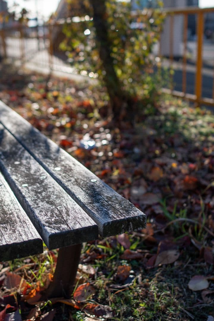 【作例有※実用】Nikon 単焦点 AF-S NIKKOR 28mm f1.8G