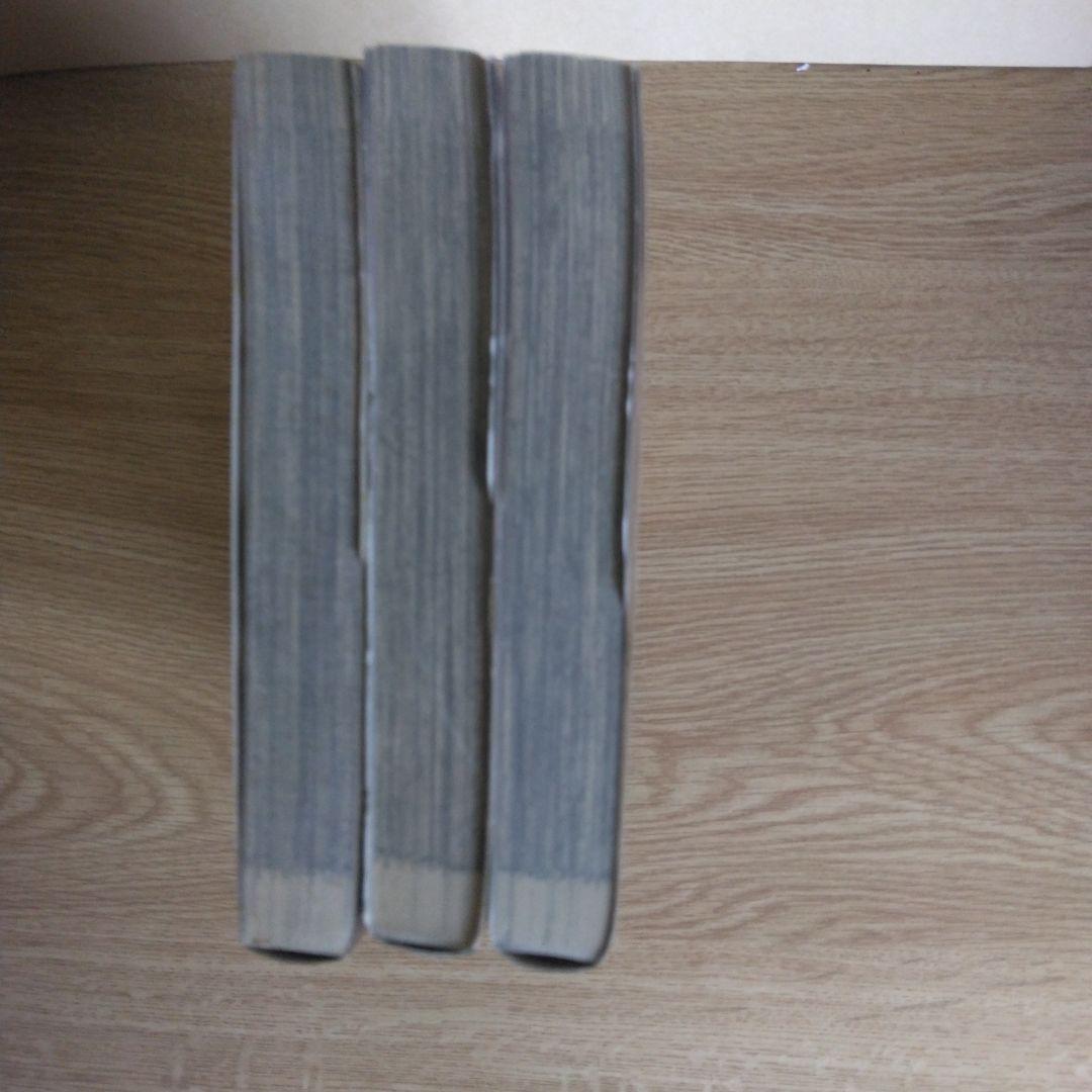 HEAT 全17巻セット 画・池上遼一・作・武論尊 ビッグコミックス