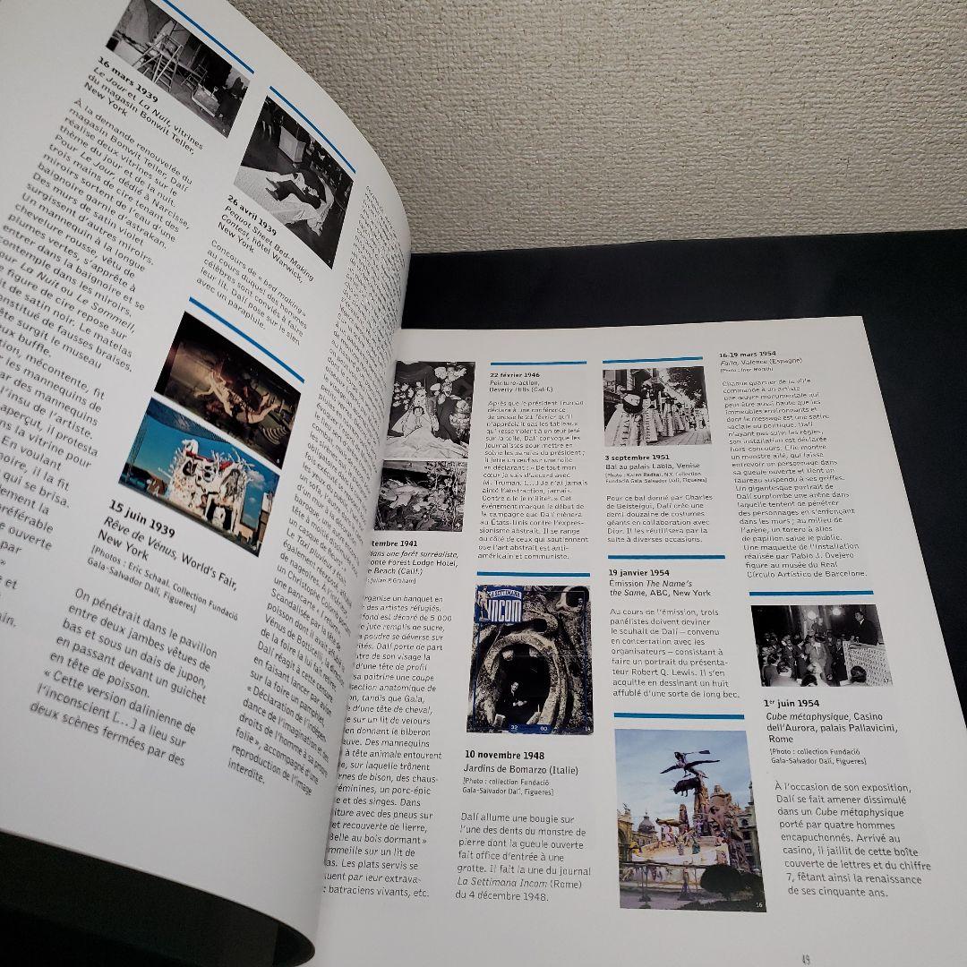 art]ポンピドゥー　ダリ展　DALÍ 図録