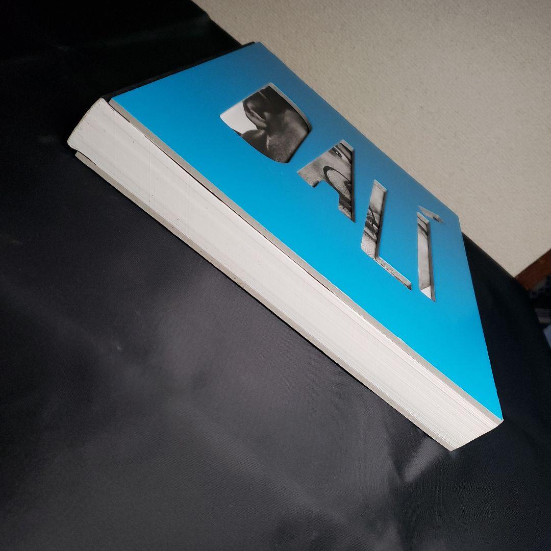 art]ポンピドゥー　ダリ展　DALÍ 図録