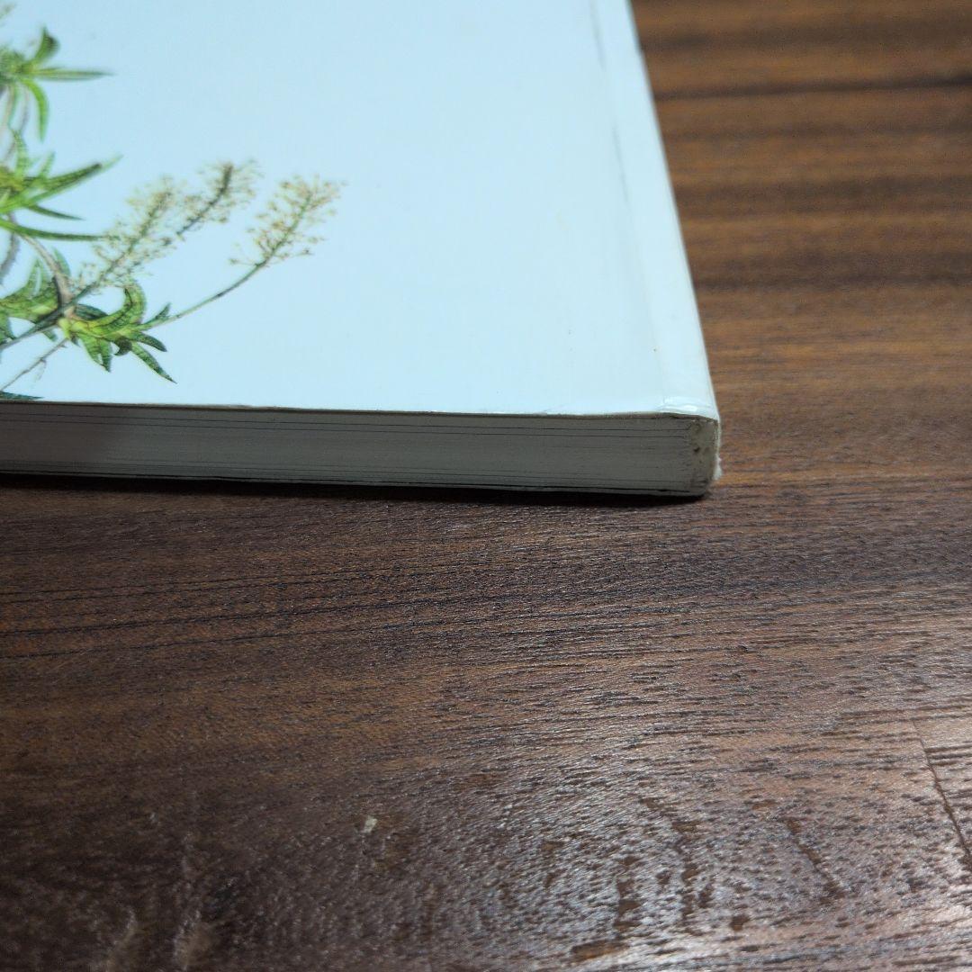 TRUBUS sansevieria 200種のサンスベリア