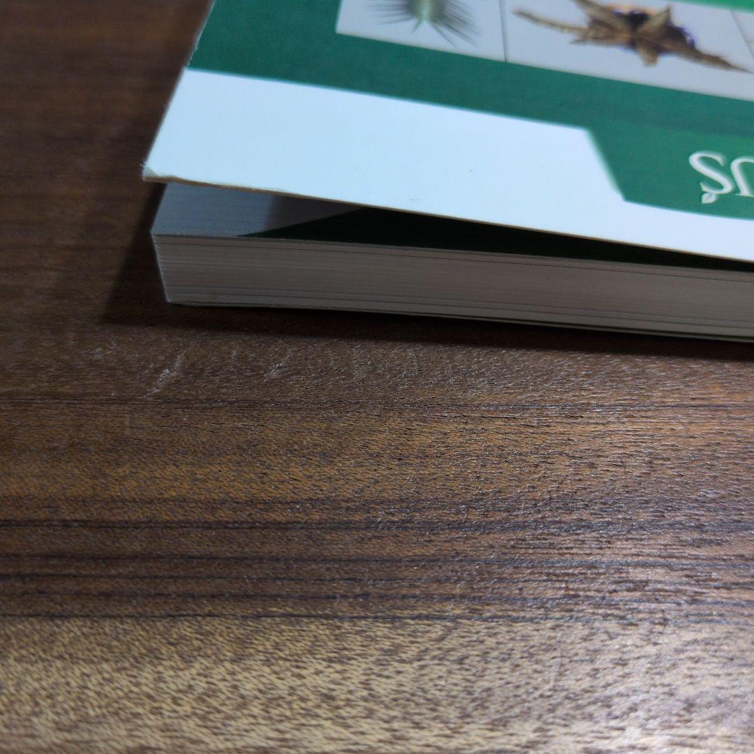 TRUBUS sansevieria 200種のサンスベリア