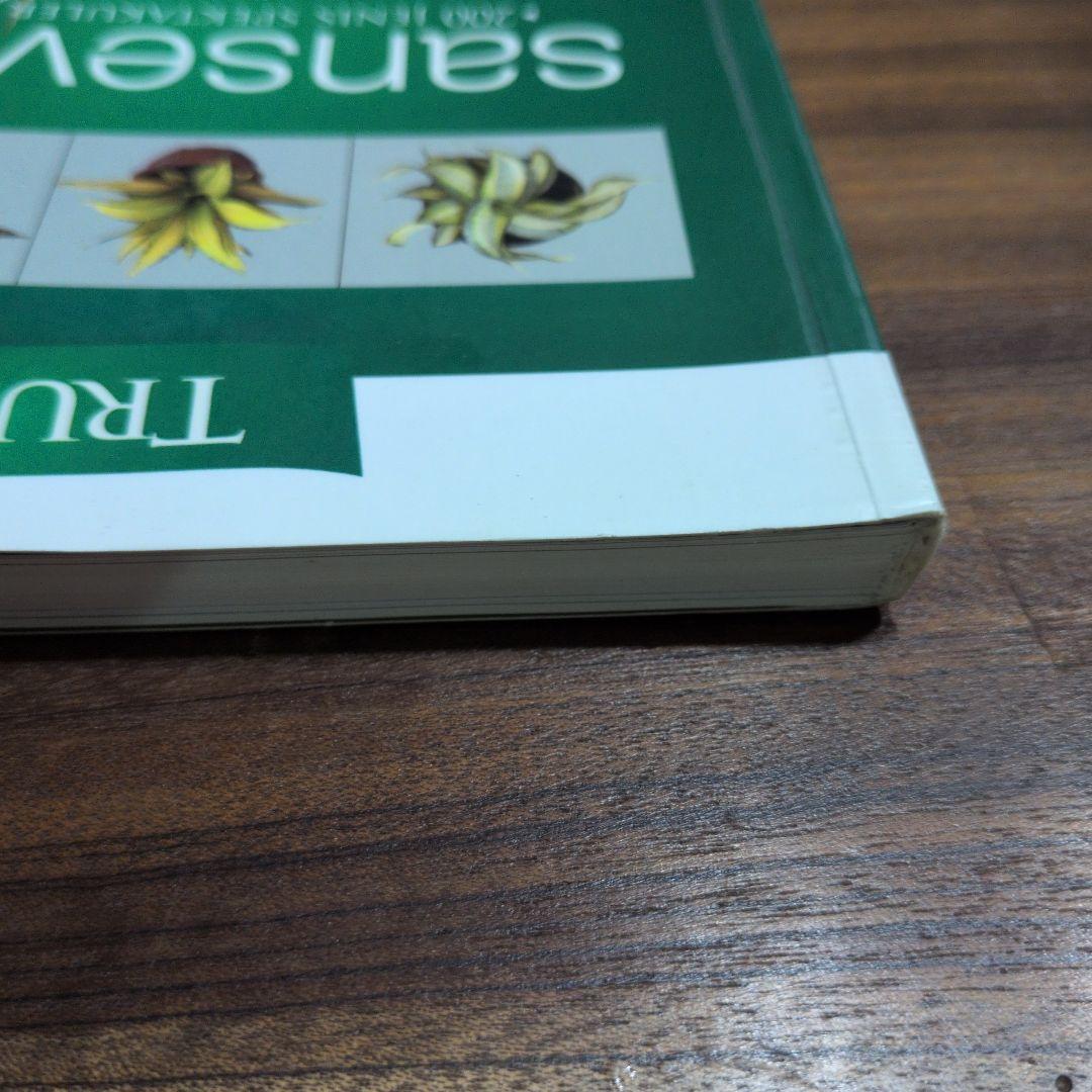 TRUBUS sansevieria 200種のサンスベリア