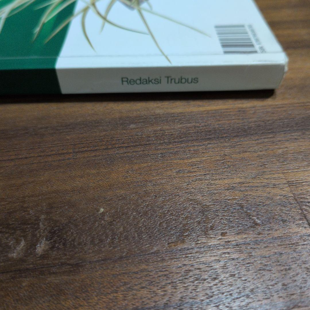 TRUBUS sansevieria 200種のサンスベリア