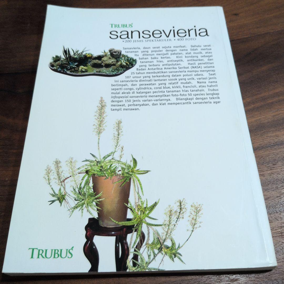 TRUBUS sansevieria 200種のサンスベリア