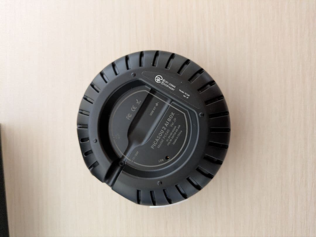 オットキャストピカソ２