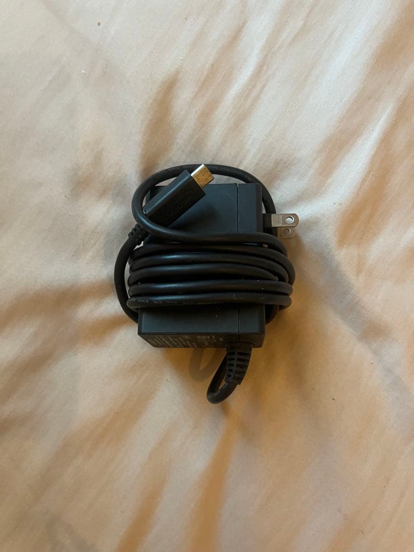 Nintendo Switch Lite ニンテンドースイッチ ライト コーラル