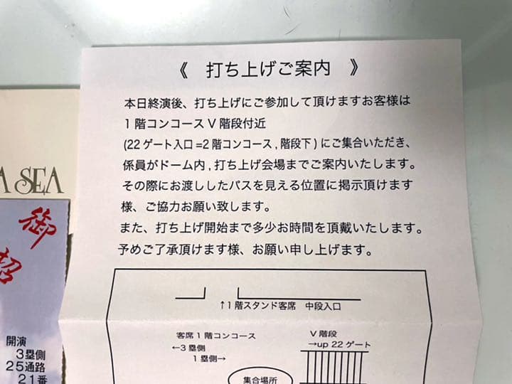 貴重限定■ LUNA SEA_再結成ライブ招待券&型押し封筒~東京ドーム~中古