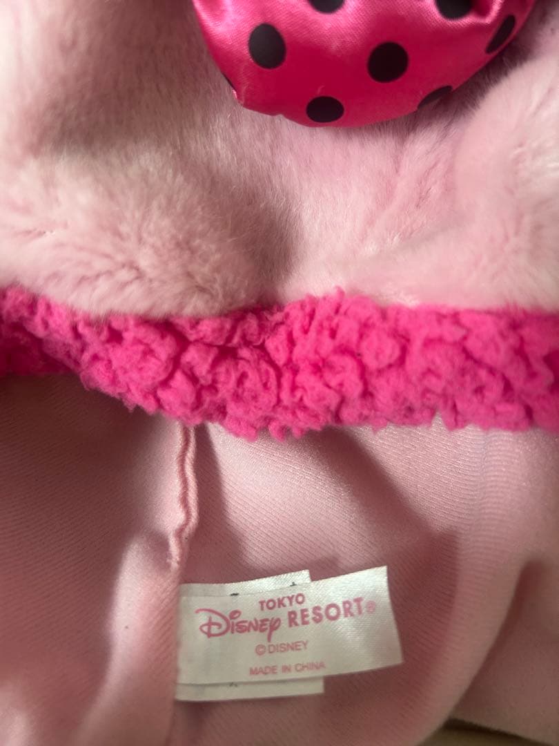 東京ディズニーリゾート ファンキャップ