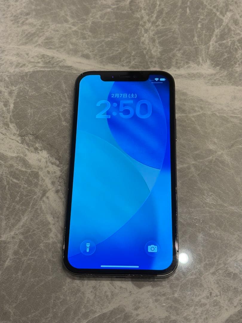 iPhone 12 Pro 128GB グラファイト (ジャンク品)