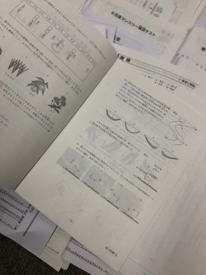 サピックス　2022年度　5年　マンスリー確認/復習/組分けテスト　計15回