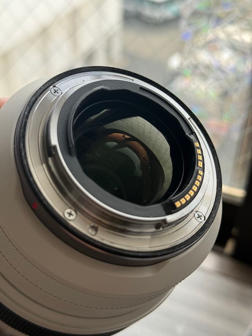 奏*様 Canon キャノン RF 70-200mm F2.8 L IS USM