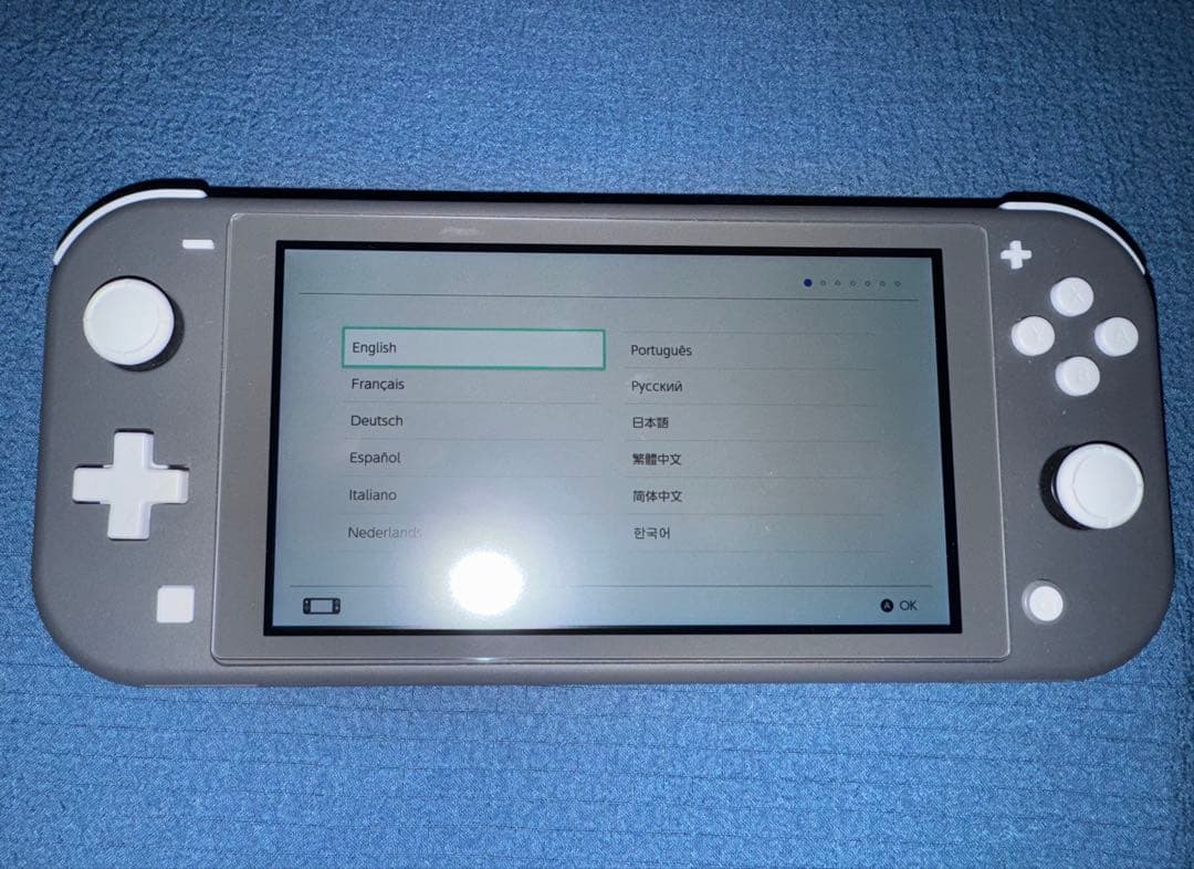 任天堂 Switch Lite スイッチライト グレー 本体 おまけ付