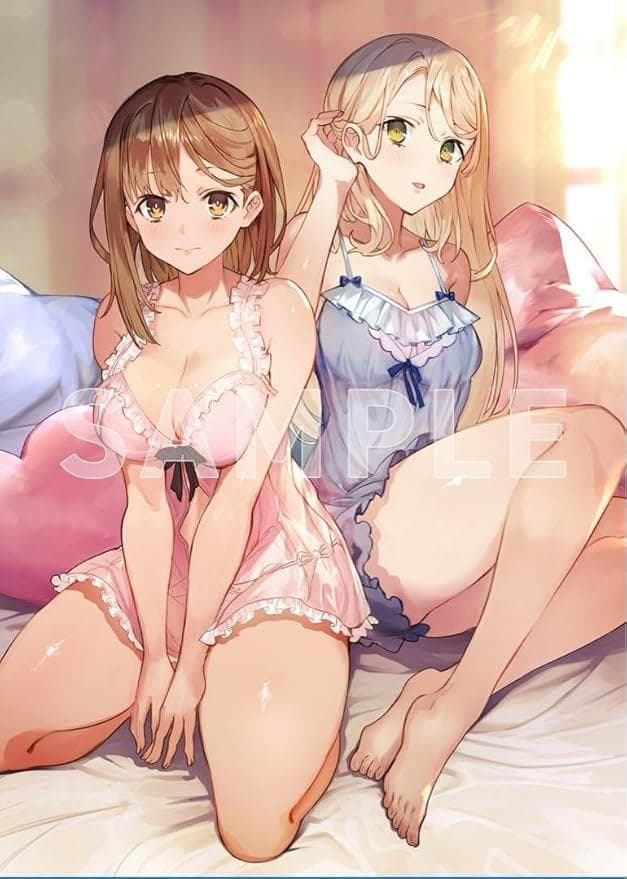 【特典未開封】ライザのアトリエ2 プレミアムボックス＋ソフマップ特典