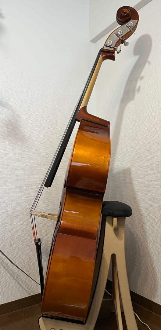 【mkt】Reghin 5弦コントラバス