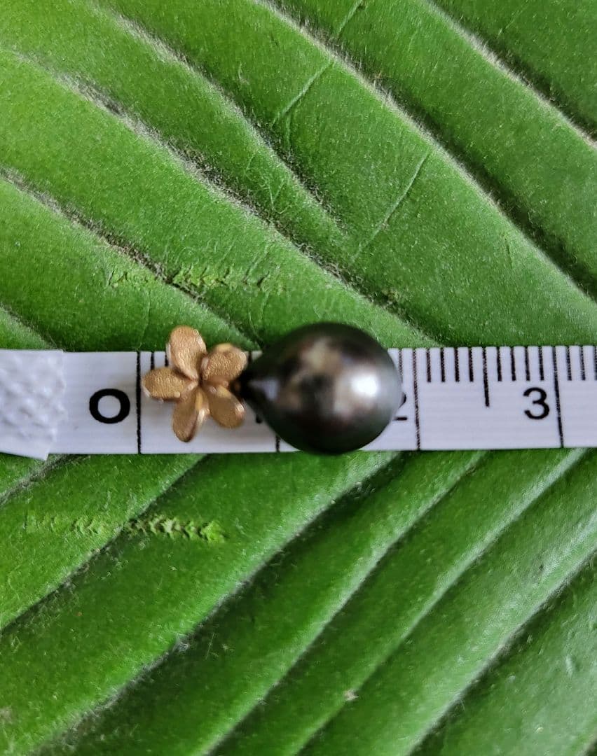 ハワイアンジュエリーK10YG プルメリア&タヒチアンパールチャーム