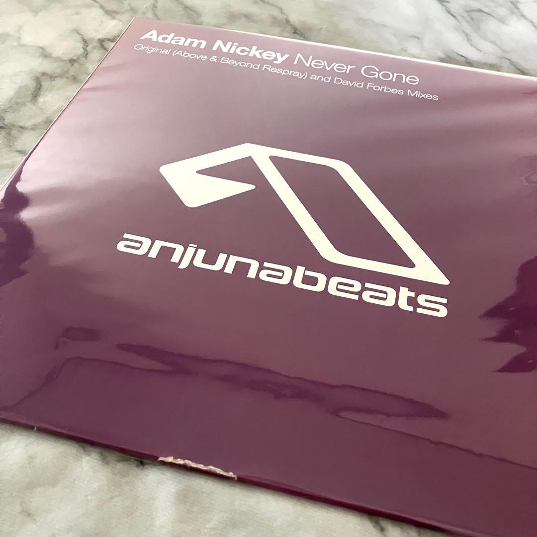 洋楽 Adam Nickey - Never Gone 12\" ANJUNABEATS