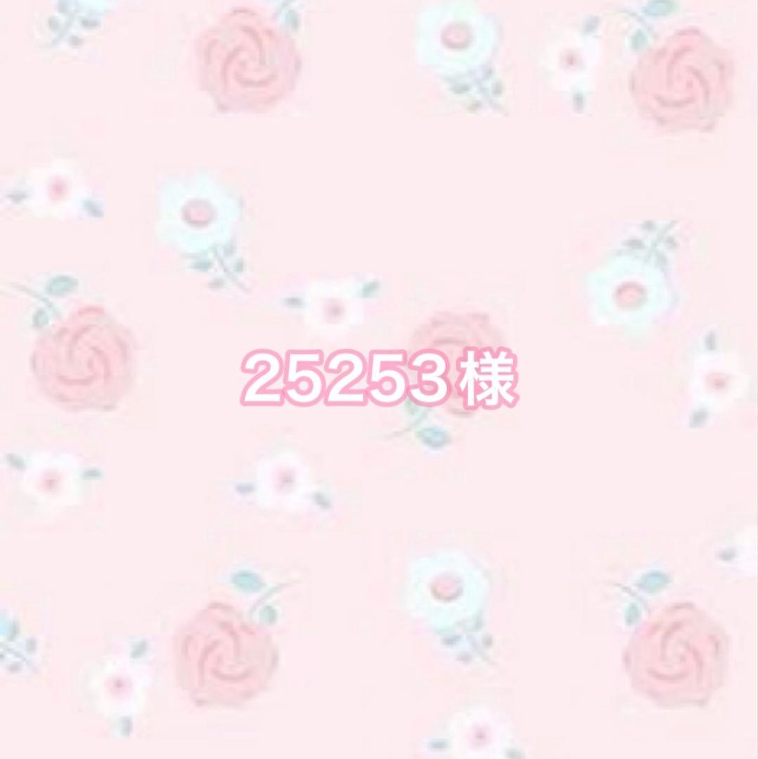 25253ページ