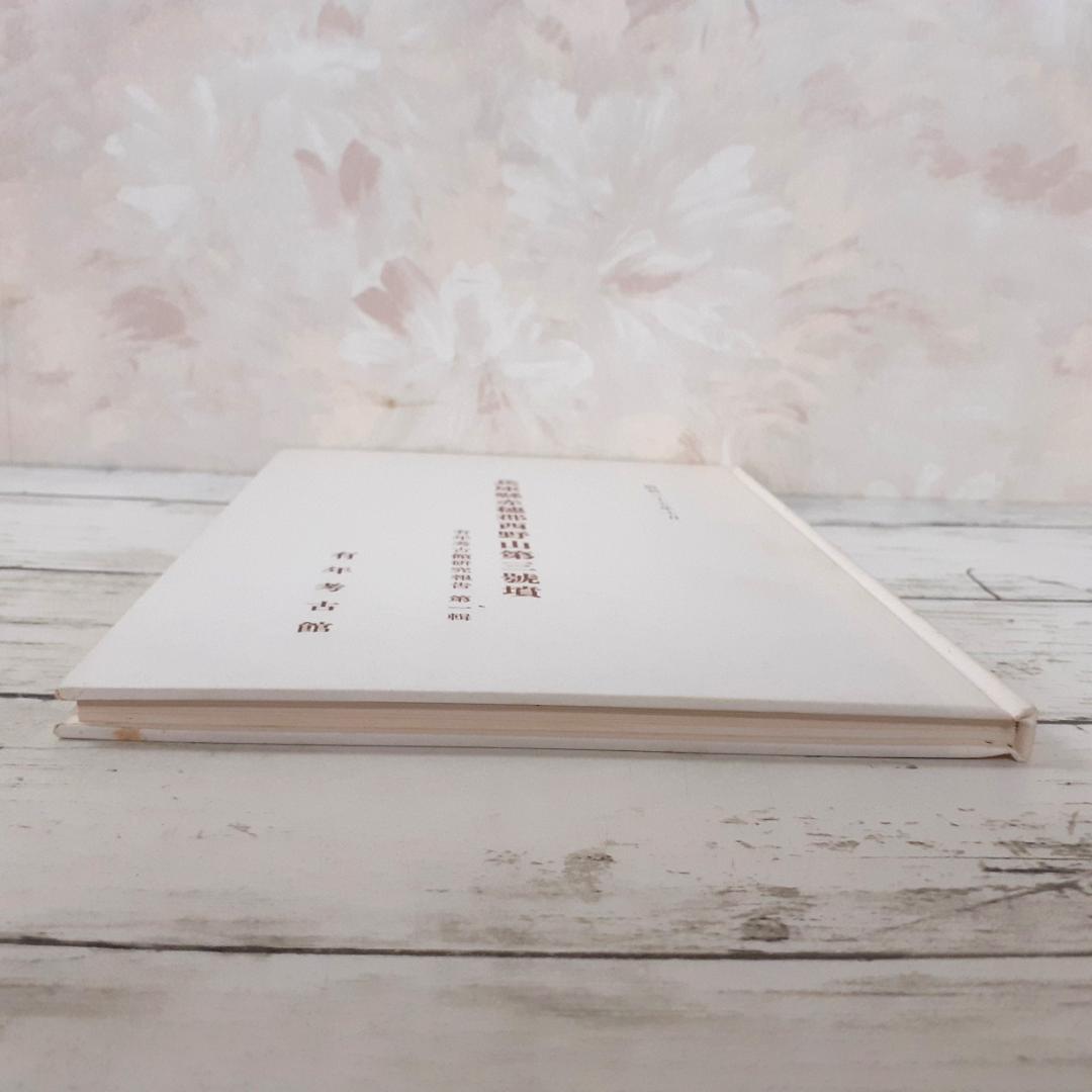 兵庫県赤穂郡西野山第三号墳　有年考古館研究報告第一集